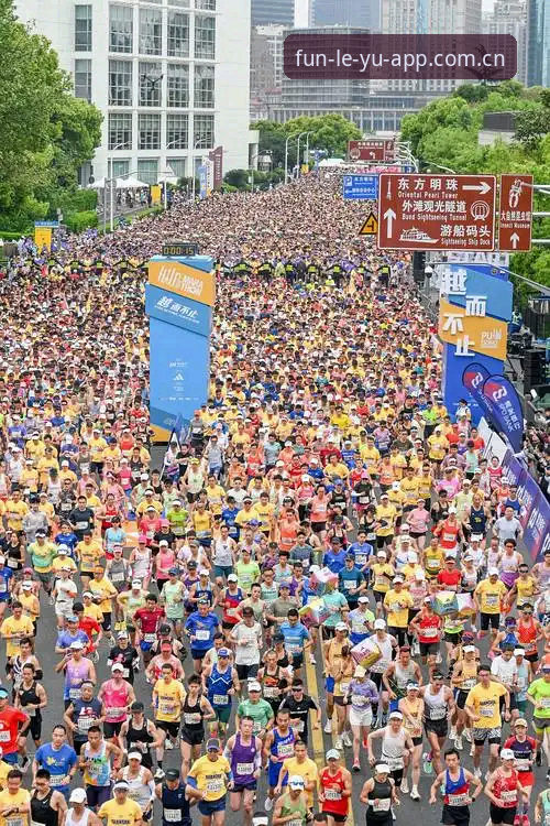 深度揭秘：乐鱼APP体育数据替代，如何避开那五个大多数人踩过的坑？